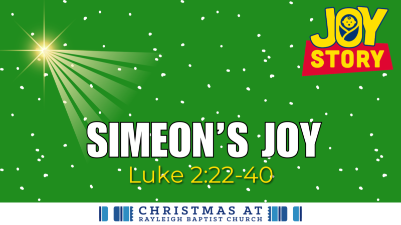 Joy Story - Simeon's Joy Image