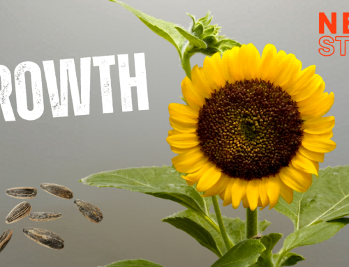 Growth